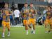 Apuesta por Tigres