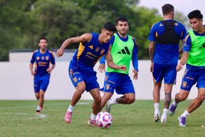 Apuesta por los Tigres de la UANL