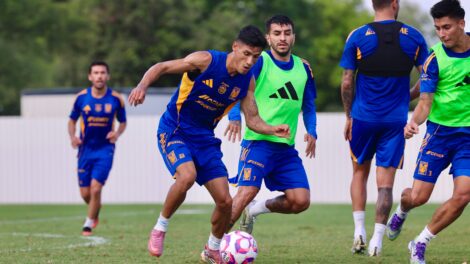Apuesta por los Tigres de la UANL