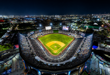 Series de Campeonato LMB