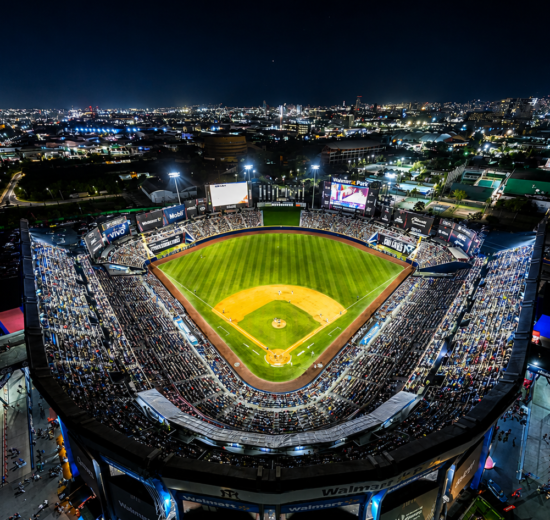 Series de Campeonato LMB
