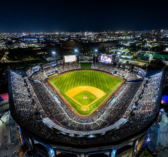 Series de Campeonato LMB