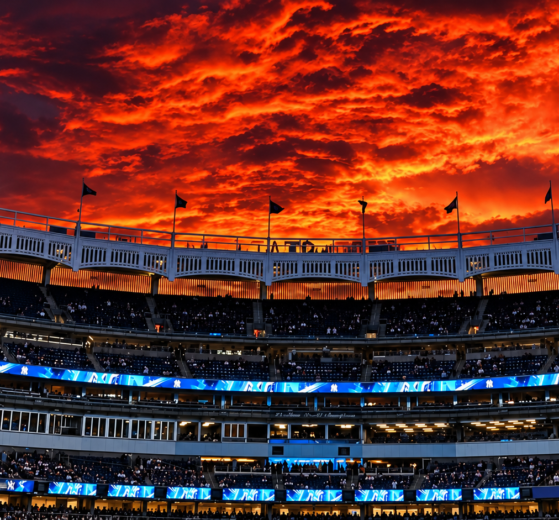 Wild Card MLB