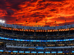 Wild Card MLB