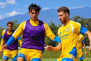 Tigres en Jornada 10