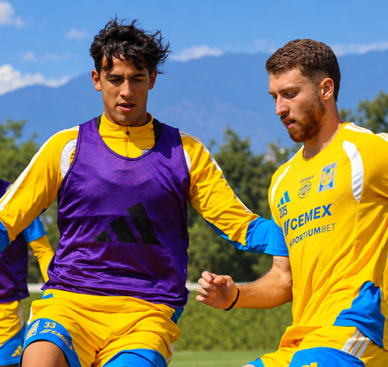 Tigres en Jornada 10