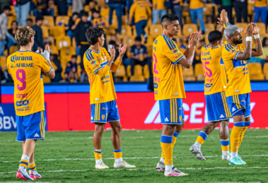 Jornada 14 del Apertura 2026