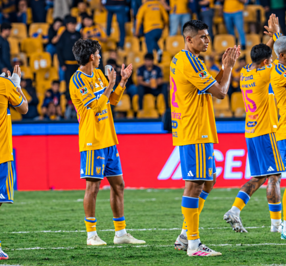Jornada 14 del Apertura 2026